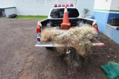 PMA prende 10 pessoas e apreende 498 kg de pescados durante operacao Carnaval no MS 2