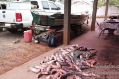 PMA prende 11 pessoas com 240 kg de pescado ilegal no MS 2
