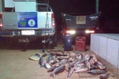 PMA prende 11 pessoas com 240 kg de pescado ilegal no MS