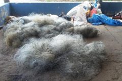 pma-prende-dois-com-700-metros-de-redes-e-100-kg-de-pescado-ilegal-em-goias