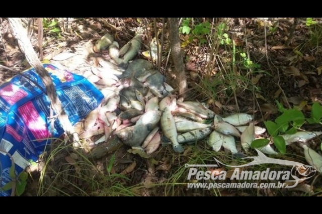 PMA prende dois com 700 metros de redes e 100 kg de pescado ilegal em Goiás