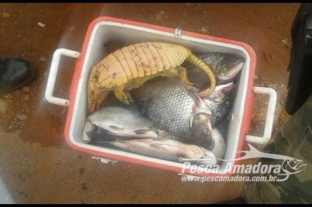 PMA prende dois infratores com 30 kg de peixes e um tatu em Goiás