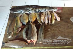 PMA prende dois por capturar pescado fora da medida no rio Aquidauana-MS