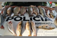 PMA prende dois por pesca predatoria no lago de Itaipu-PR 2