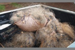 PMA prende dois por pesca predatoria no lago de Itaipu-PR