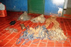 PMA prende dois por pescar ilegal no rio Coxim-MS 2