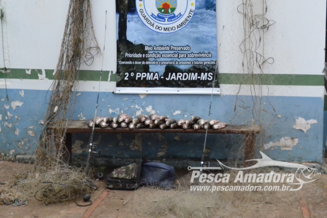 PMA prende duas pessoas e autua em R$ 10,7 mil por pesca ilegal no Rio Miranda-MS