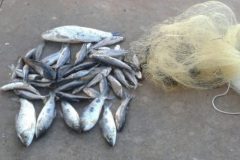 PMA prende duas pessoas em flagrante utilizando petrecho proibido no Rio Aquidauana-MS