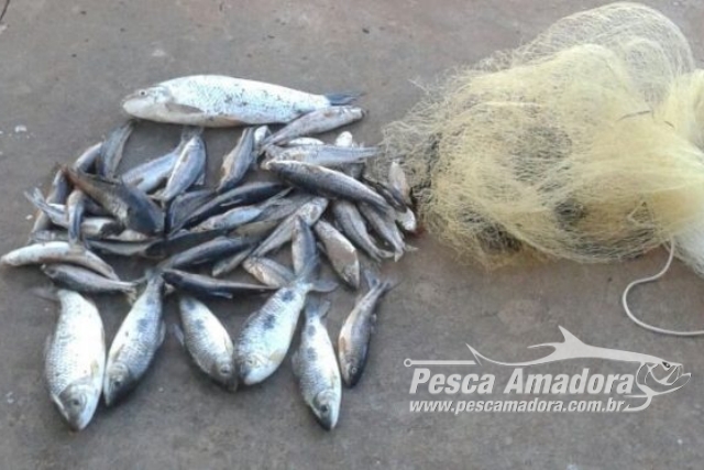 PMA prende duas pessoas em flagrante utilizando petrecho proibido no Rio Aquidauana-MS