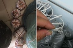 pma-prende-duas-pessoas-por-pesca-com-bomba-na-bahia-4