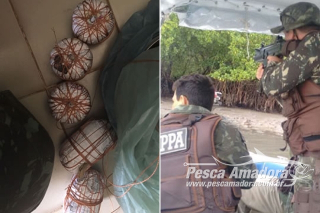 PMA prende duas pessoas por pesca com bomba na Bahia