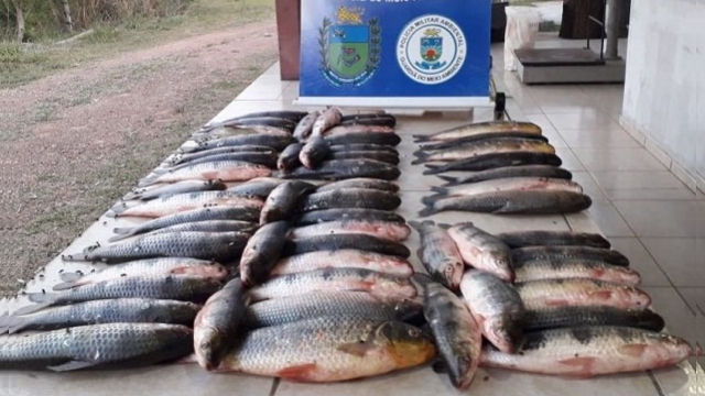 PMA prende e autua pescador com 28 kg de pescado ilegal no Rio Miranda (MS)