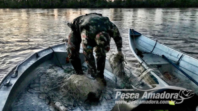PMA prende e autua pescador profissional pescando com 16 redes de pesca no Rio Amambai (MS)