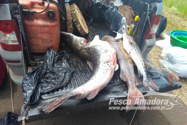 PMA prende e autua em R$ 3,9 mil três pescadores por pesca ilegal no Rio Coxim (MS)