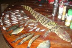 pma-prende-homem-por-caca-e-pesca-ilegal-em-ms