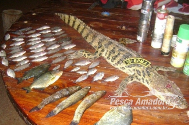 PMA prende homem por caça e pesca ilegal em MS