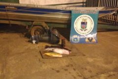 pma-prende-homem-por-pesca-ilegal-no-rio-miranda-ms