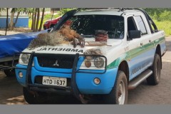 PMA prende homem por pesca predatoria em Navirai-MS