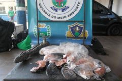 PMA prende homem por transporte ilegal de pescado e carne de animal silvestre no MS