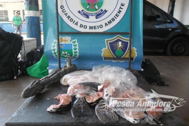 PMA prende homem por transporte ilegal de pescado e carne de animal silvestre no MS