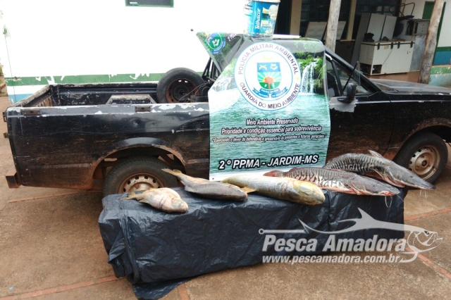 PMA prende infrator pela segunda vez por crime de pesca durante a piracema em MS