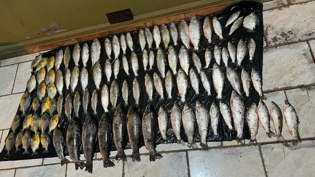 PMA prende infrator por pesca e transporte de pescado ilegal em Santo Antônio do Leverger (MT)