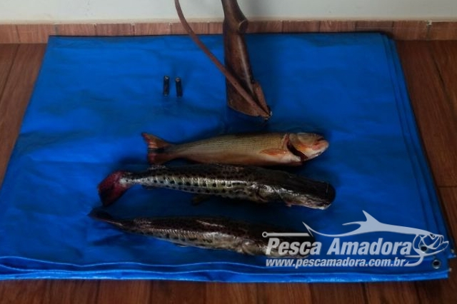 PMA prende infrator por pesca ilegal e posse de arma de fogo em Taquarussu (MS)