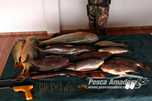 PMA prende inftrator com 30 kg de pescado ilegal capturados no Parque do Rio Ivinhema em MS