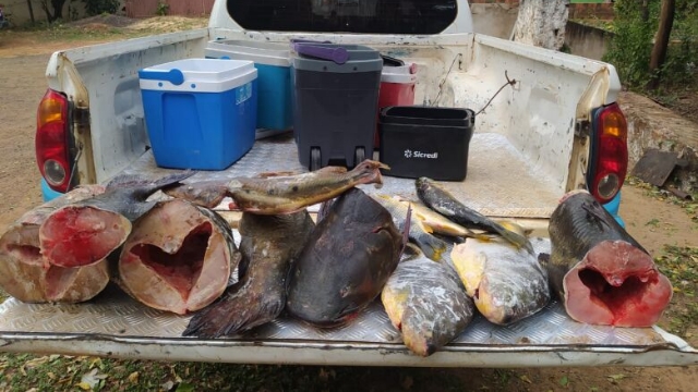 PMA prende pescador amador por pesca predatória em Anastácio (MS)