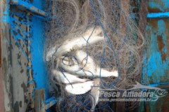 PMA prende pescador profissional com redes de pesca e local proibido no MT