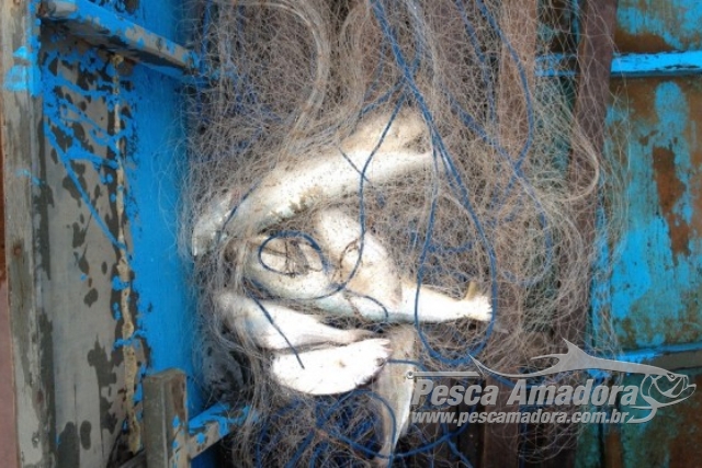 PMA prende pescador profissional com redes de pesca em local proibido no MT