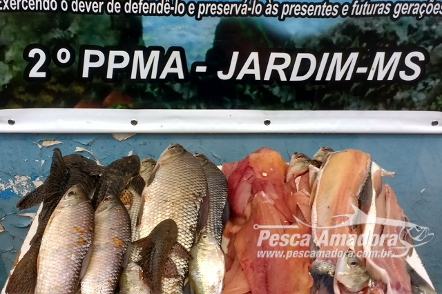 PMA prende pescador profissional por pescar e armazenar pescado ilegalmente em MS