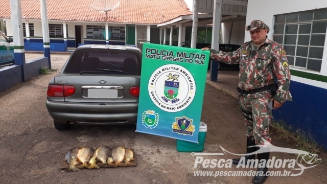PMA prende pescador profissional que fugiu de bloqueio com pescado ilegal no Rio Miranda (MS)