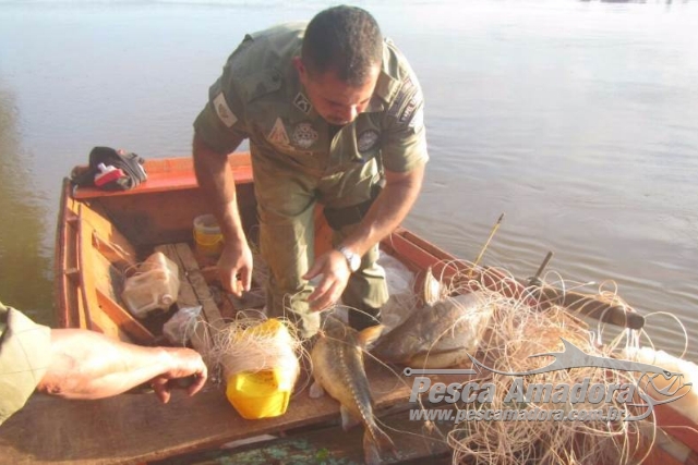 PMA prende quatro paraguaios por pesca ilegal no Rio Paraná