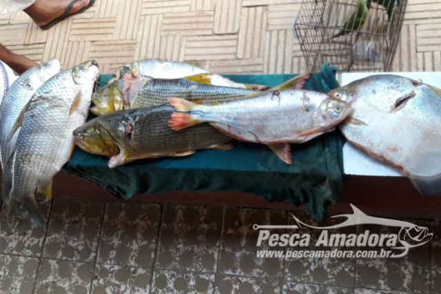 PMA prende quatro pessoas por caça e pesca ilegal em João Pinheiro-MG