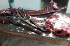 pma-prende-quatro-pessoas-por-caca-e-pesca-ilegal-em-joao-pinheiro-mg