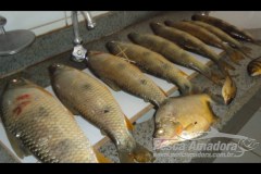 PMA prende seis pessoas por pesca ilegal nas proximidades de hidreletrica no Rio Parana-MS