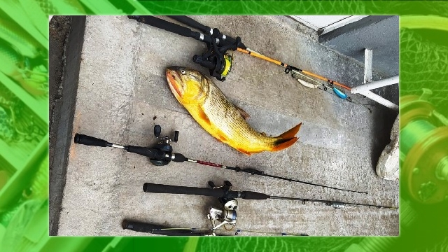 PMA prende seis por pesca ilegal nas corredeiras do Rio Iguaçu em Porto Vitória (PR)