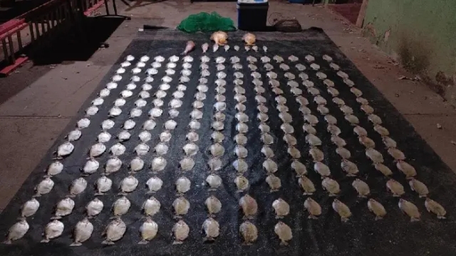 PMA prende suspeito e aplica multa de R$ 9 mil por pesca ilegal em Santo Antônio de Leverger (MT)