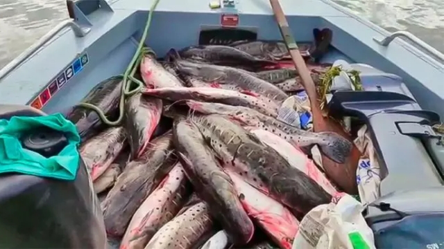 PMA prende três paraguaios com 170 kg de pescado ilegal no Pantanal