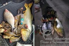 PMA prende tres por pesca ilegal no canal da piracema em Itaipu Binacional