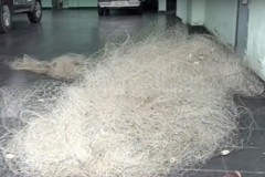 PMA prende tres por pesca predatoria em Claudio-MG 2