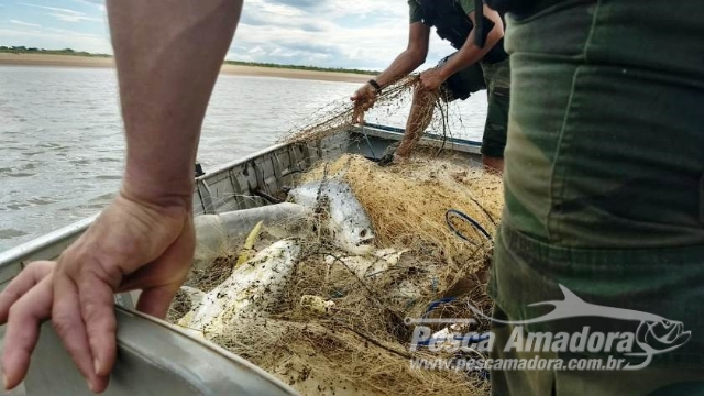 PMA recolhe 8 redes de pesca e 36 kg de peixes na foz do Rio Doce no ES