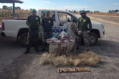 PMA reforca a fiscalizacao de pesca nos rios do estado de Goias