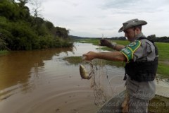 PMA retira 1000 m de redes e liberta 35 peixes na barragem de Ernestina no RS
