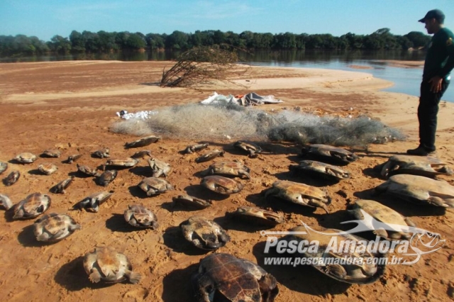 PMA surpreende infratores em blitz noturna no rio Araguaia em TO