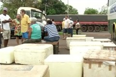 PRF apreende mais de uma tonelada de pescado na BR-060 2