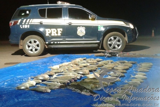 PRF apreende pescado irregular e prede dois durante fiscalização no MT