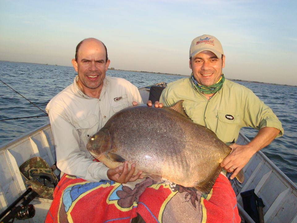 Pescador fisga pacu de 30kg em Presidente Epitácio-SP