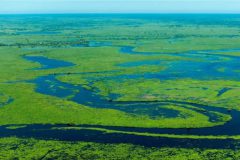 pantanal-biodiversidade-2